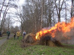 Arbeitsdienst 26.01.2008